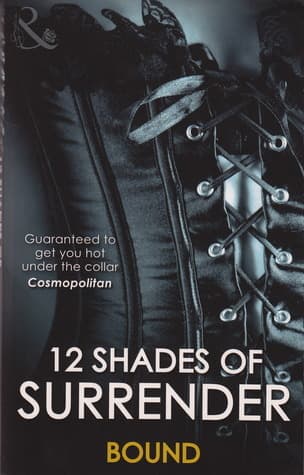 12 Shades of Surrender: Bound