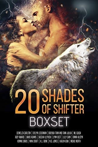 20 Shades of Shifter