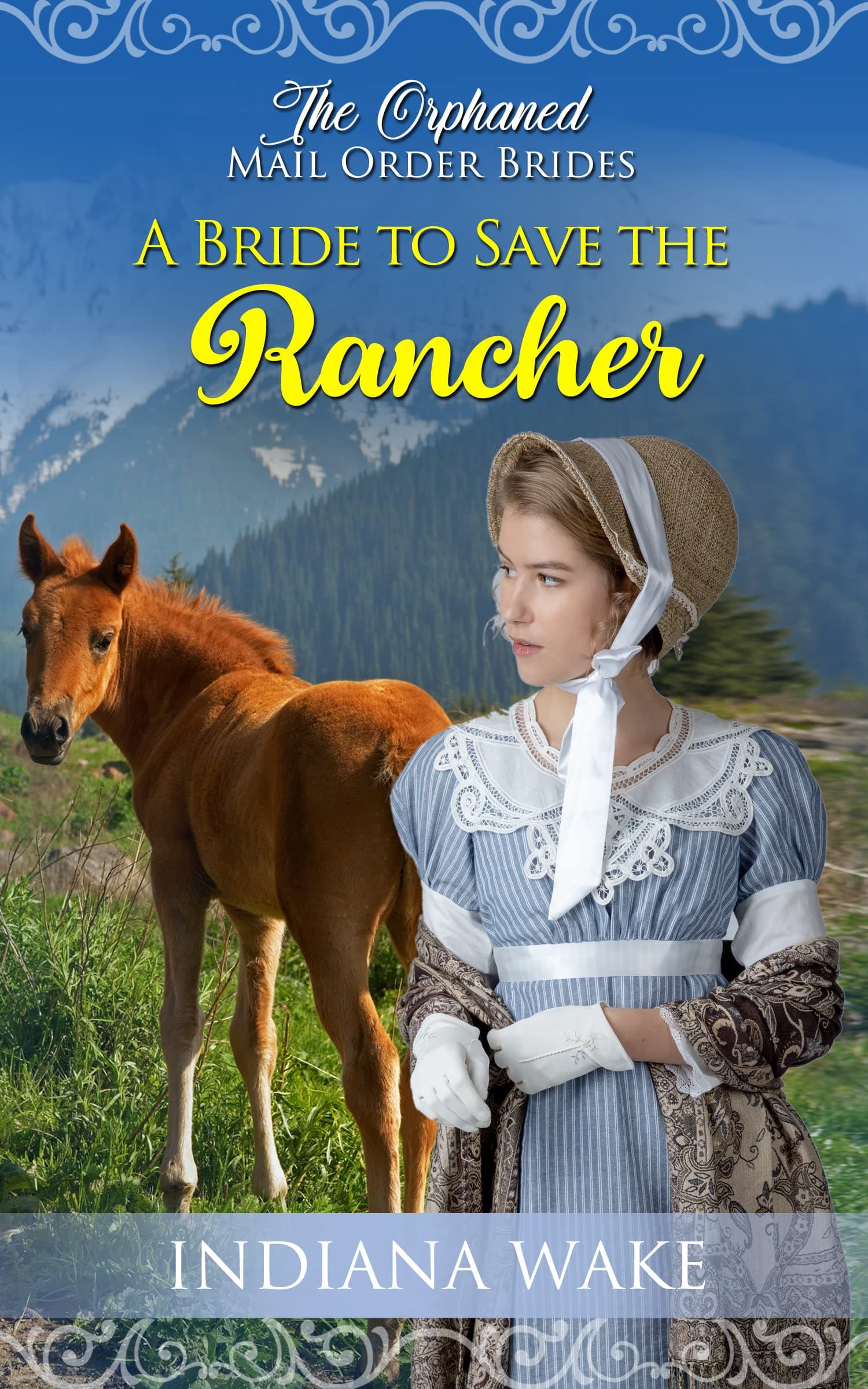 A Bride to Save the Rancher