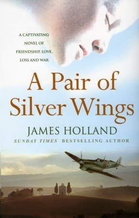 A Pair of Silver Wings