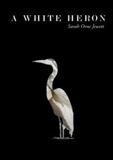 A White Heron