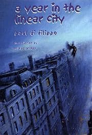 A Year in the Linear City