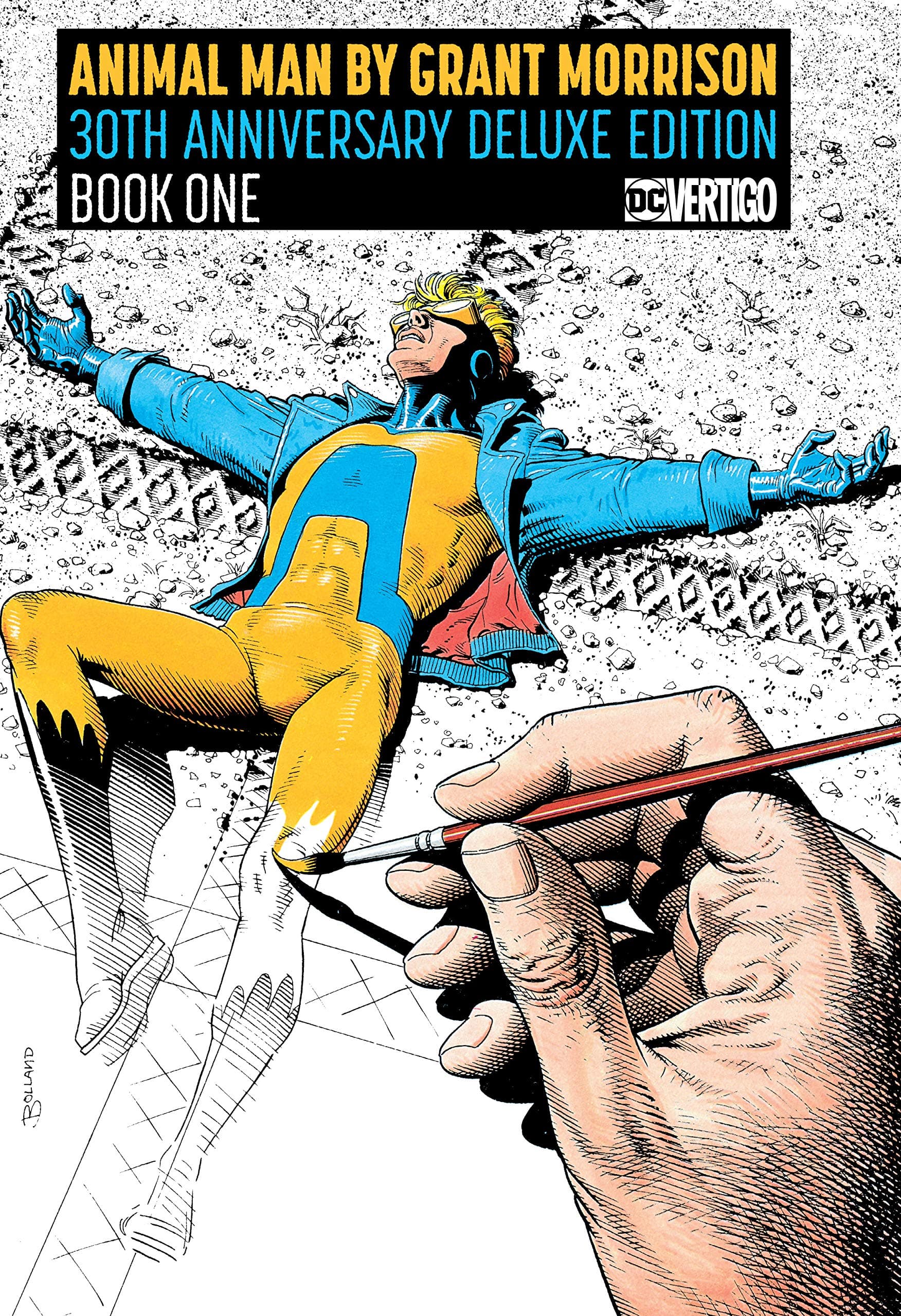 Animal Man by Grant Morrison, Book 1