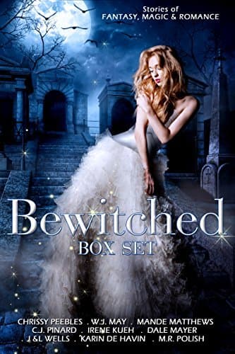 Bewitched Box Set