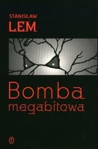 Bomba megabitowa