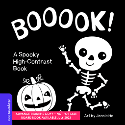 Booook! A Spooky High-Contrast Book