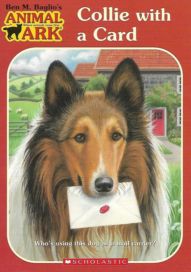 Collie with a Card