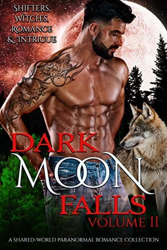 Dark Moon Falls: Volume 2