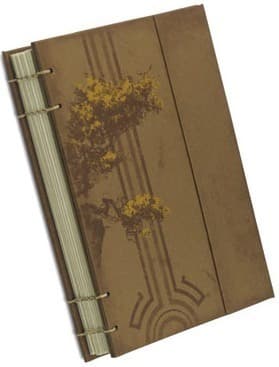Dr. Halsey's Journal