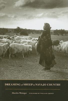 Dreaming of Sheep in Navajo Country