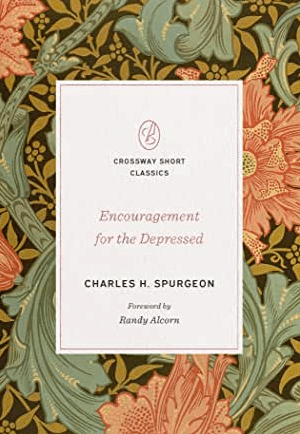 Encouragement for the Depressed