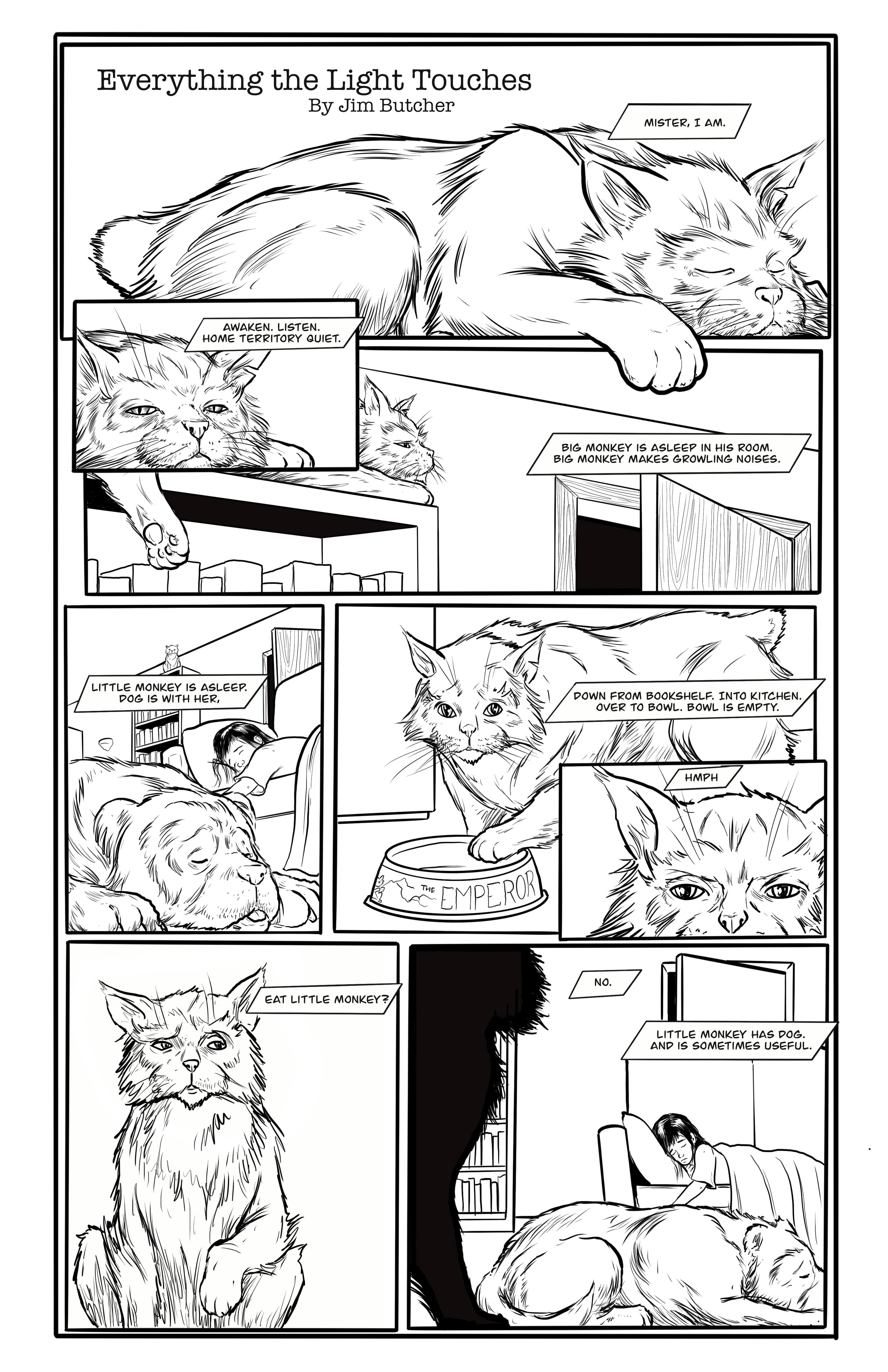 Everything the Light Touches