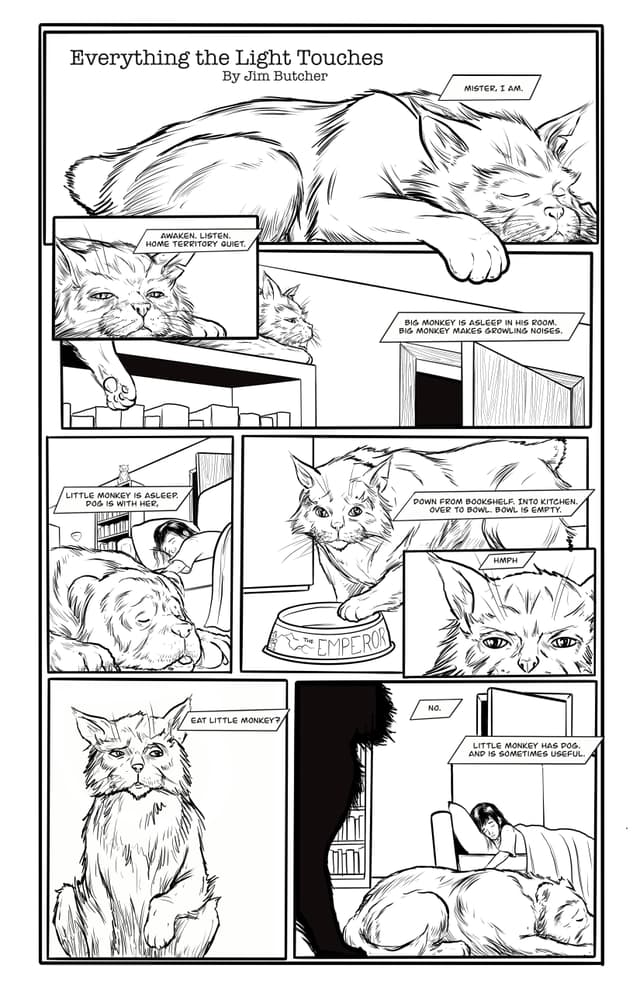 Everything the Light Touches