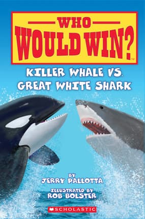 Killer Whale Vs. Great White Shark