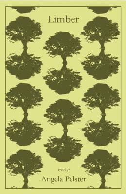 Limber: Essays