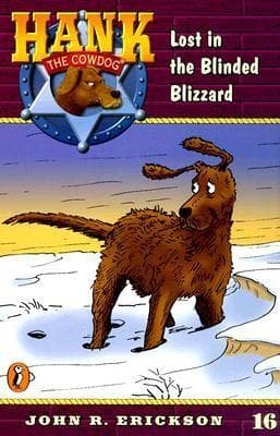 Lost in the Blinded Blizzard