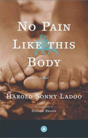 No Pain Like This Body: A Novel