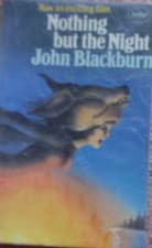 Nothing But the Night