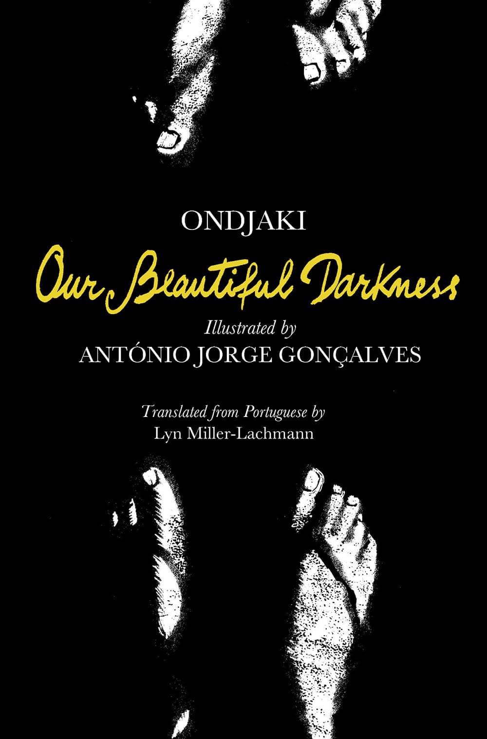 Our Beautiful Darkness: A Graphic Novel