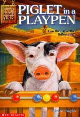 Piglet in a Playpen
