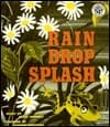 Rain Drop Splash