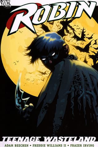 Robin: Teenage Wasteland