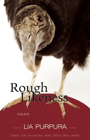 Rough Likeness: Essays