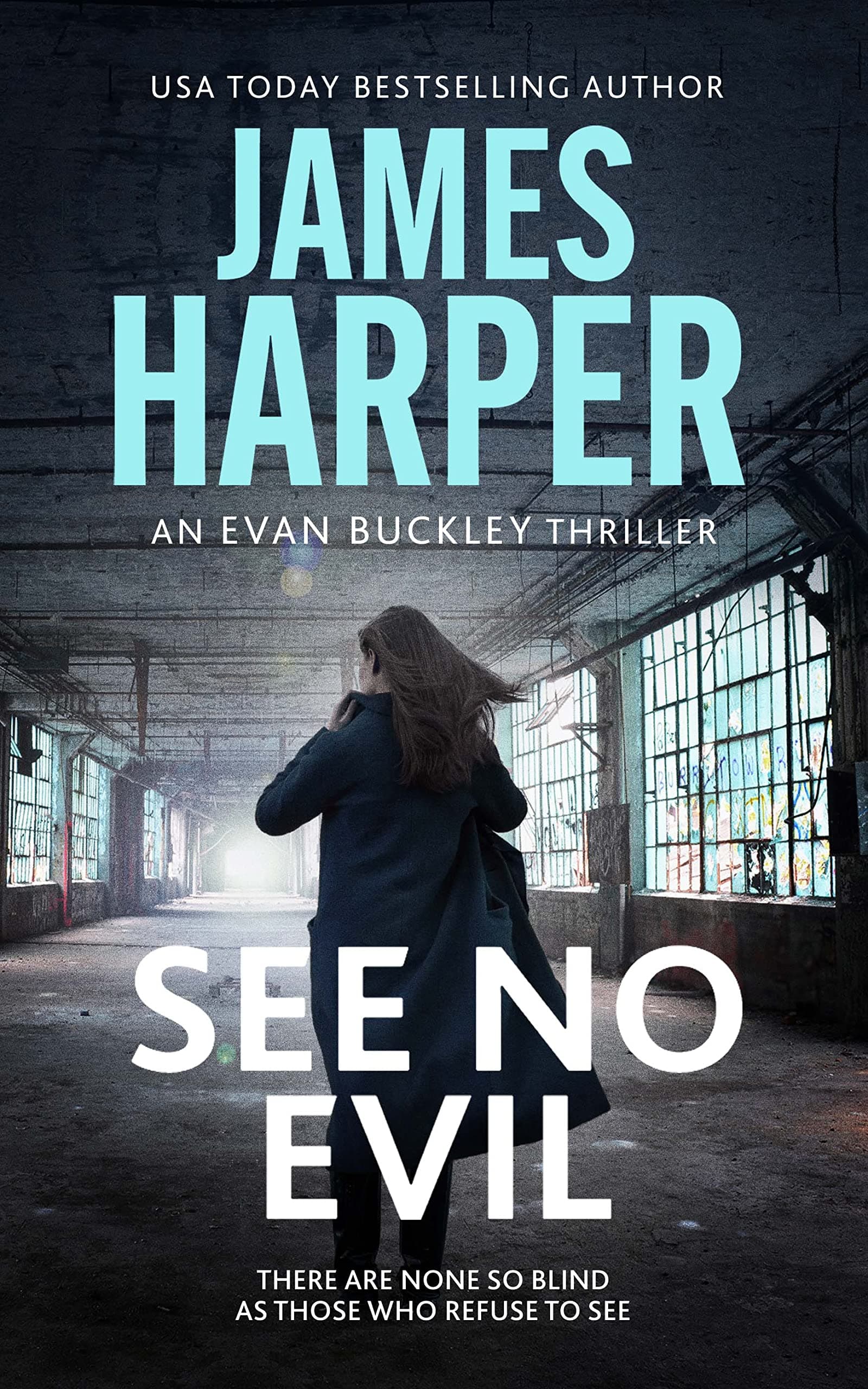See No Evil: An Evan Buckley Crime Thriller