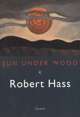 Sun under Wood