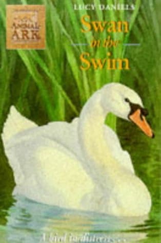 Swan in the Swim