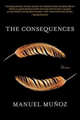 The Consequences: Stories