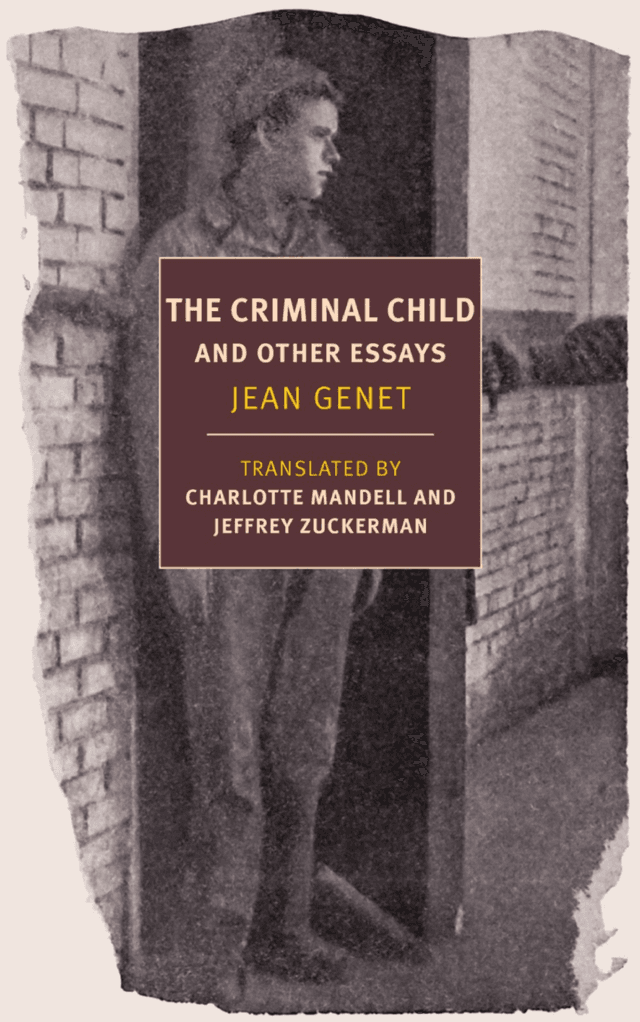 The Criminal Child and Other Essays