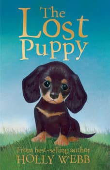 The Lost Puppy