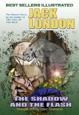 The Shadow And the Flash