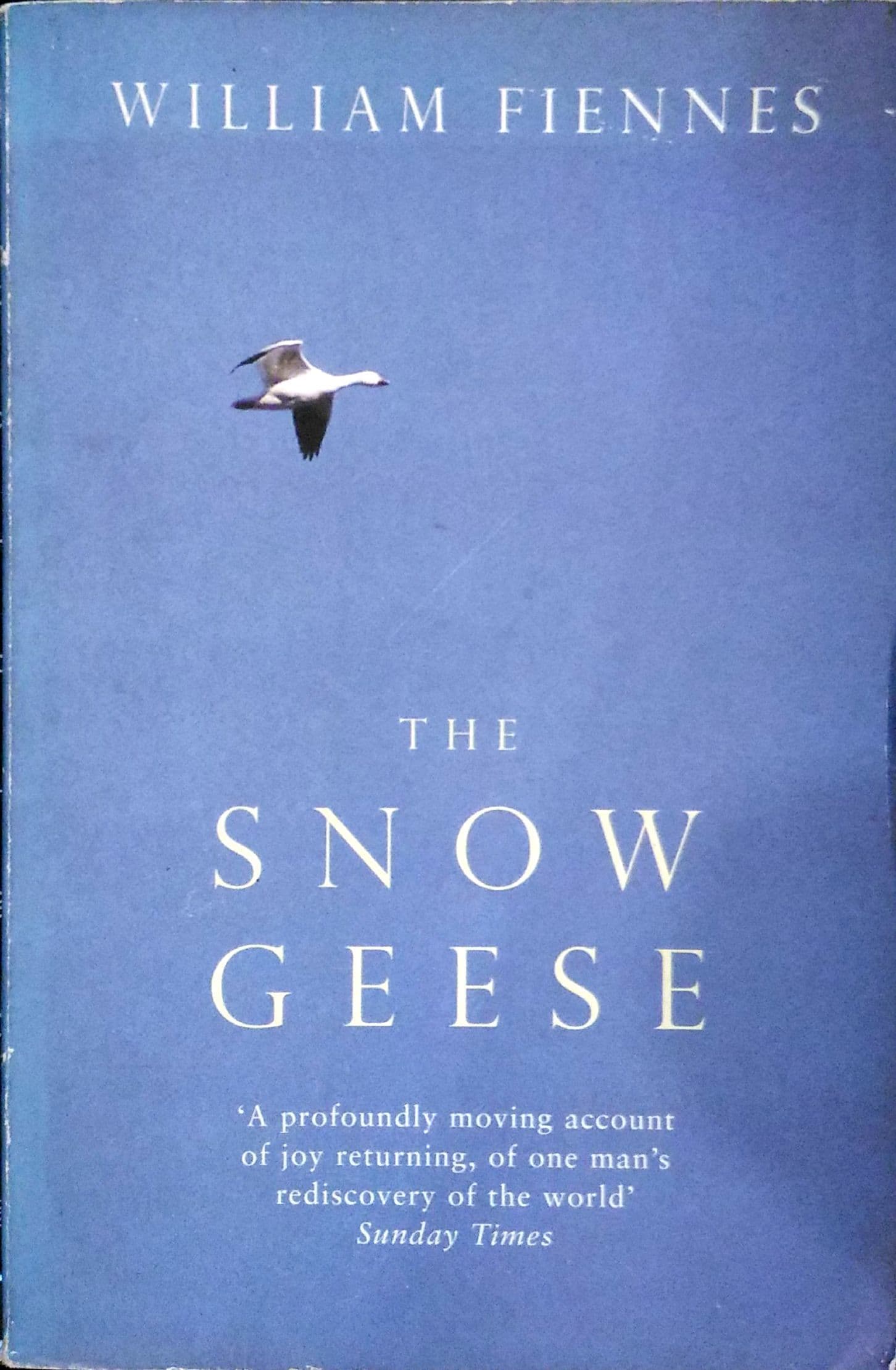 The Snow Geese