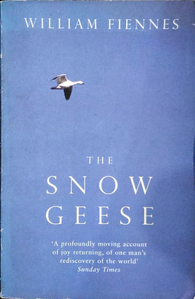 The Snow Geese