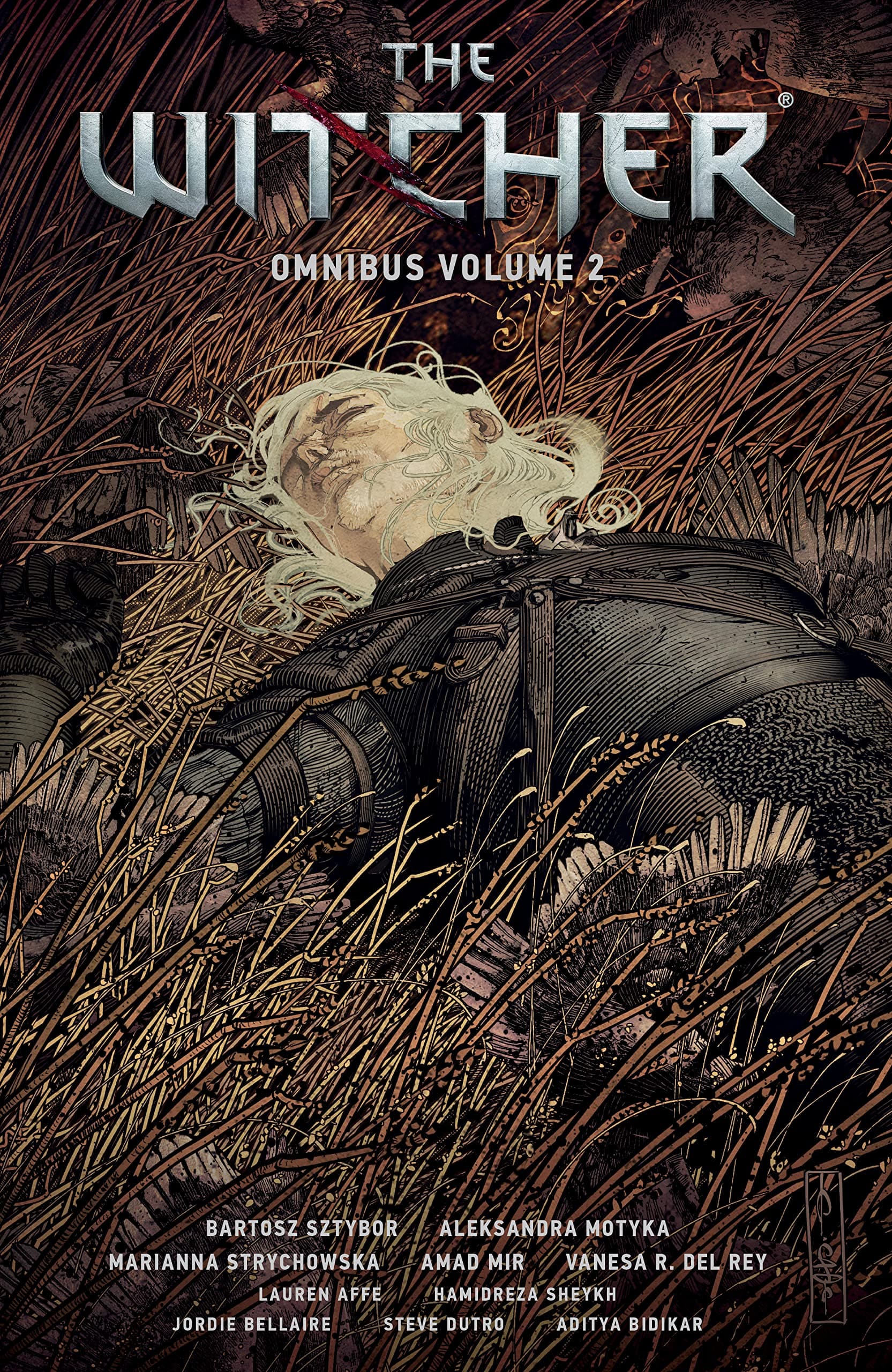 The Witcher Omnibus, Volume 2