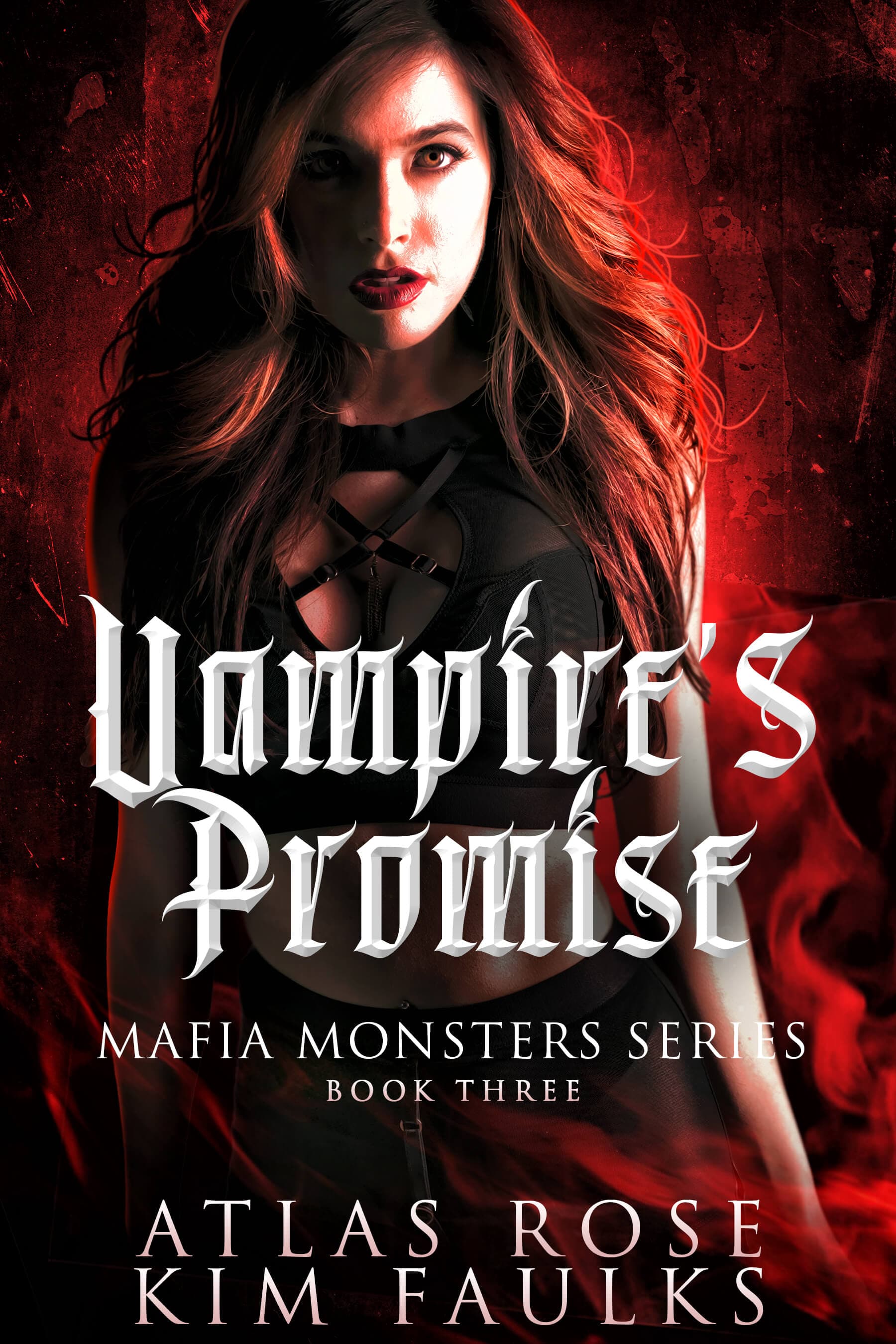 Vampire's Promise