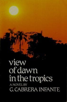 View of Dawn in the Tropics