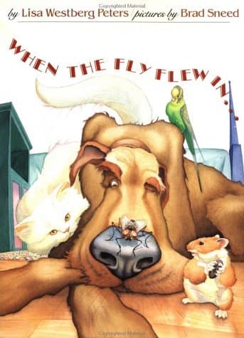 When the Fly Flew In...