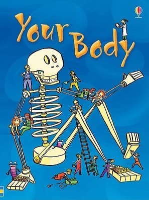 Your Body