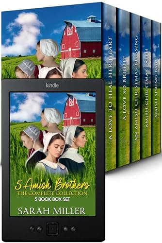 5 Amish Brothers The Complete Collection: 5 Book Box Set