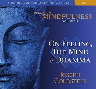 Abiding in Mindfulness, Volume 2: On Feeling, the Mind & Dhamma