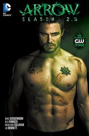 Arrow Season 2.5: From the World of The CW TV Show