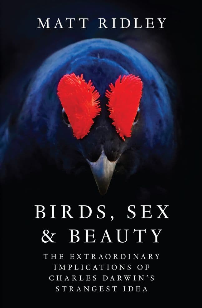 Birds, Sex and Beauty: The Extraordinary Implications of Charles Darwin's Strangest Idea – Evolutionary Theory, Sexual Selection, and the Mystery of Attraction