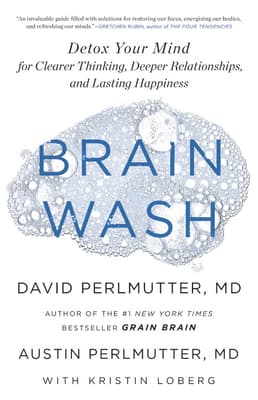 Brain Wash: Detox Your Mind for Clearer Thinking, Deeper Relationships, and Lasting Happiness