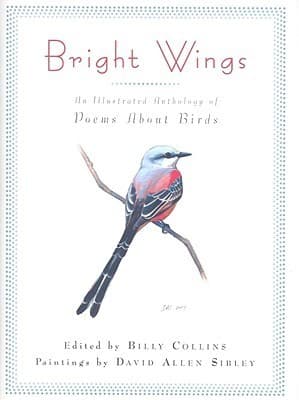 Bright Wings: An Illustrated Anthology of Poems About Birds
