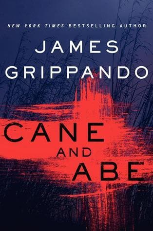 Cane and Abe: A Gripping Florida Suspense Thriller – A Prosecutor Becomes the Prime Suspect in His Wife's Disappearance