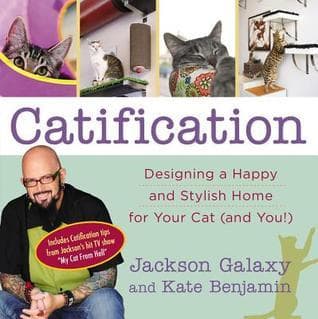Catification: Designing a Happy and Stylish Home for Your Cat