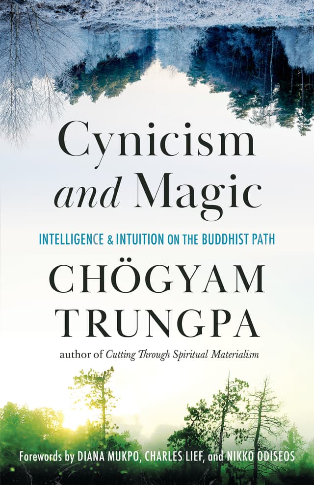 Cynicism and Magic: Intelligence and Intuition on the Buddhist Path